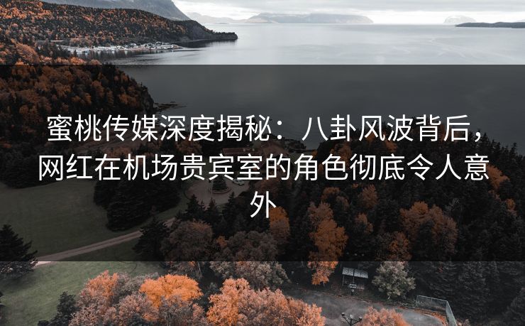 蜜桃传媒深度揭秘：八卦风波背后，网红在机场贵宾室的角色彻底令人意外