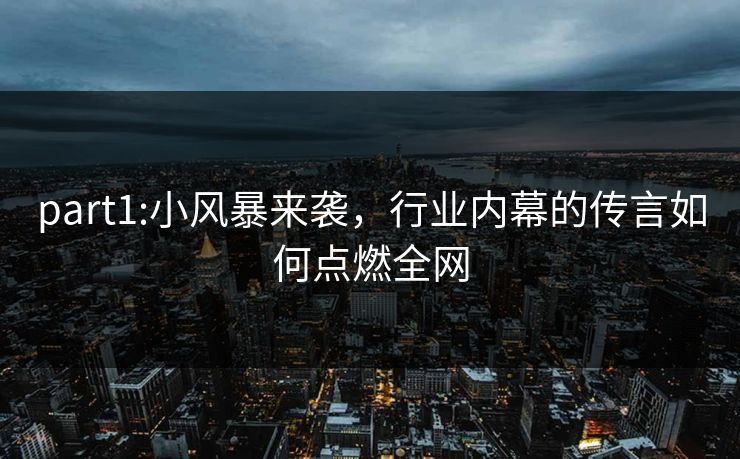 part1:小风暴来袭，行业内幕的传言如何点燃全网